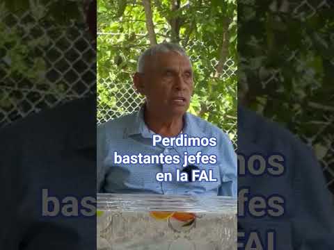 Perdimos bastantes jefes y combatientes durante la guerra_ #guerra_ #guazapa _ #El Salvador_