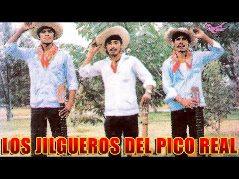 Los Jilgueros Del Pico Real 15 Canciones Rancheras y Corridos Bravos Mix 2024