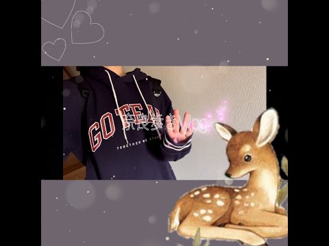 【歴史好きな中、高生必見】奈良歩きVlog