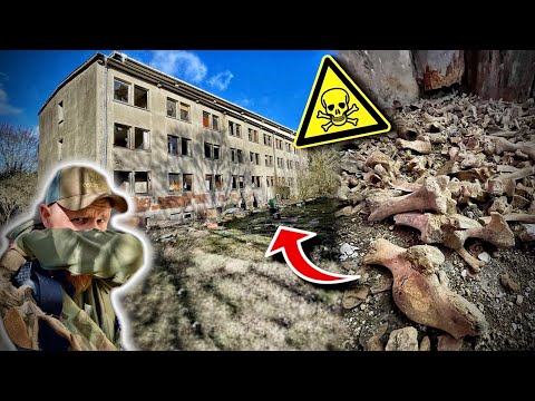 HUNDEHÖLLE MITTEN IN DEUTSCHLAND! ÜBERALL RATTEN UND KNOCHEN!