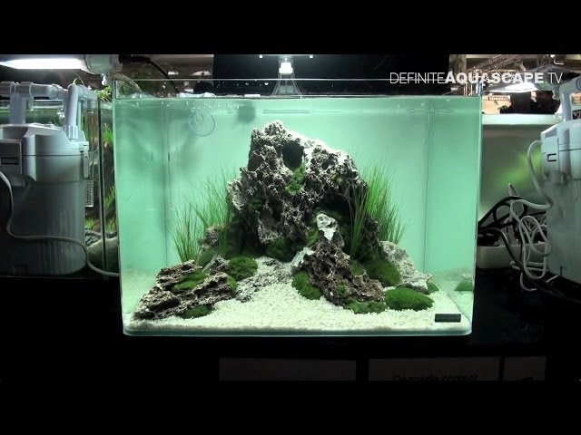 Aquascaping - Qualifyings for The Art of the Planted Aquarium 2015, region North, Nano tanks, part 2