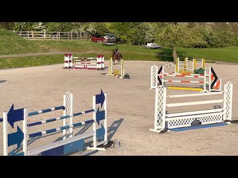 Chetlag X Convoi 8y old gelding Training 140