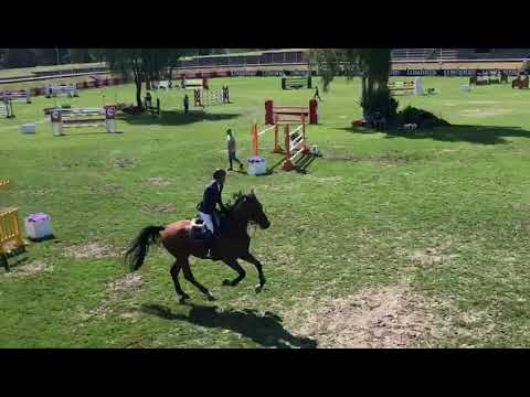 Bond Jamesbond de Hay - Fontainebleau 2018 CSIYH 7 Years