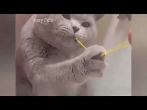 😂😂😂😂😂😂