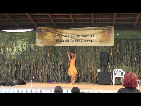 Electro and Latino Mix @ Romania (Domanesti) 2011