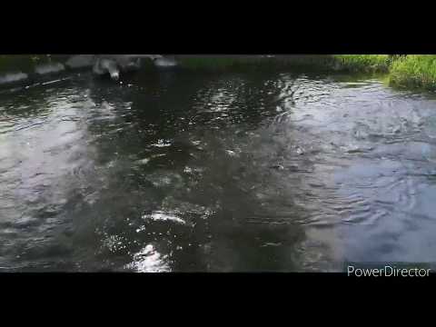 Untold Stories of Fort Langley: Short Stories