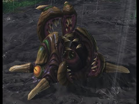 Nydus Rush Experience