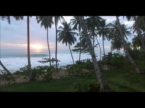 Have a look around the camp. - Mentawai Surf Retreat