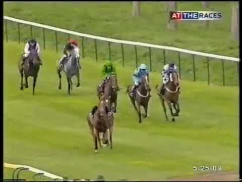 2005 Free Tips@gg.com Beginners' Chase