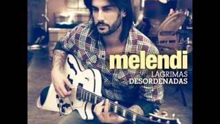 GATOS CELESTES MELENDI