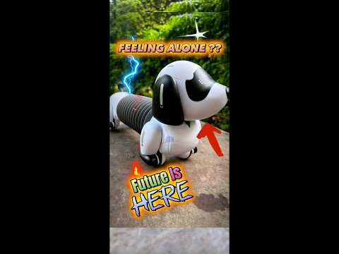 unboxing of Intelligent dog full unboxing - Remote control smart sensor Dog - playmaster video