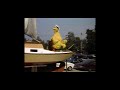 Sesame Street 20 Years And Still Counting What A Bird
