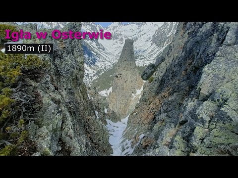 Igła w Osterwie 1890m (II)  | Maj 2023
