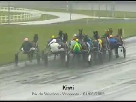Prix de Sélection 2003 -Kiwi