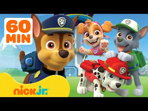 PAW Patrol | 60 MINUTEN der besten Einsätze von PAW Patrol! 🐾 | Nick Jr. Deutschland