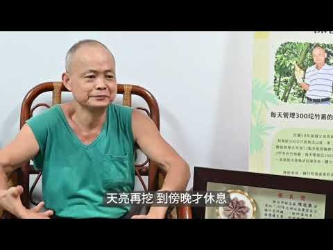 114年全國優質安全驗證綠竹筍評鑑產銷履歷組冠軍-新店區陳能恭農友，全心顧竹筍 看土三尺深