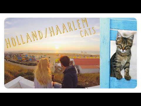 Haarlem🌻 | HOLLAND  | ☀ rIdE a bIkE ☀