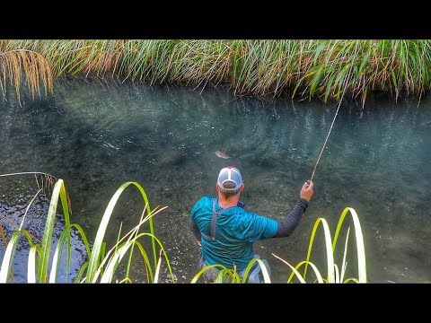 NEW ZEALAND FLY FISHING AT ITS BEST!!