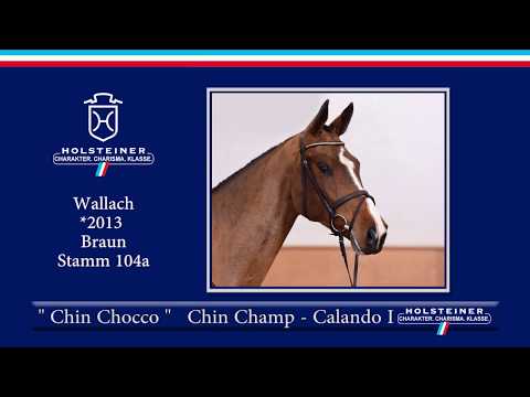 113 | Chin Chocco v. Chin Champ - Calando I