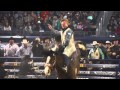 Bareback 2
