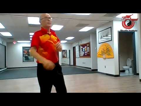 Shaolin Institute Shifu Deru Immune System Boost Series Part 3–Kung Fu &  Kickboxing Train 05292020