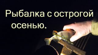 Ловля рыбы на острогу ночью
