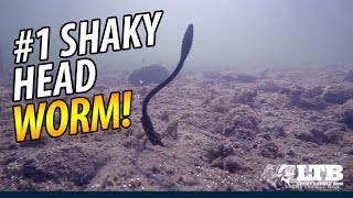 Силикон big bite baits squirrel tail worm 4.5