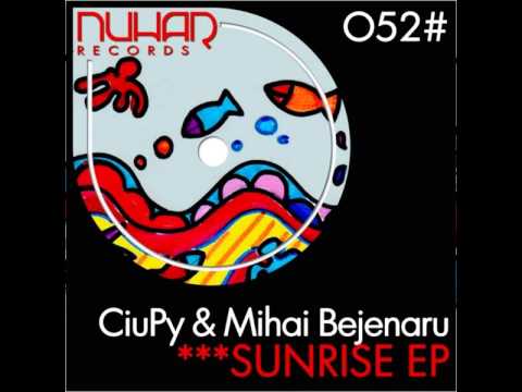 Ciupy & Mihai Bejenaru - Maniatta [Original Mix] NHR052