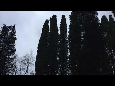 озерцо в Массандровском парке