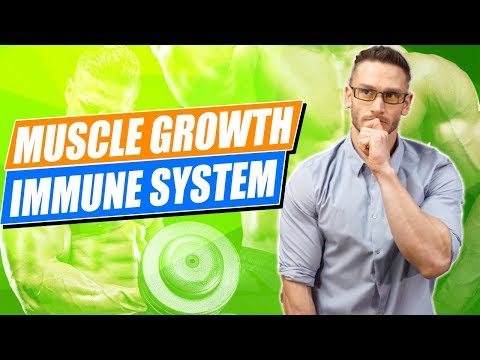 Muscle Growth | Immune System | Build Muscle the Right Way | Understanding IGF-1- Thomas DeLauer