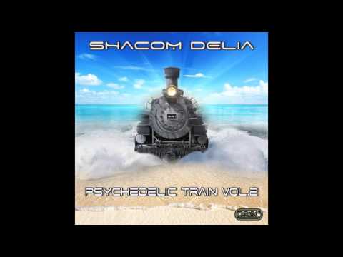 Shacom Delia - Superheater