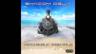 Shacom Delia - Superheater