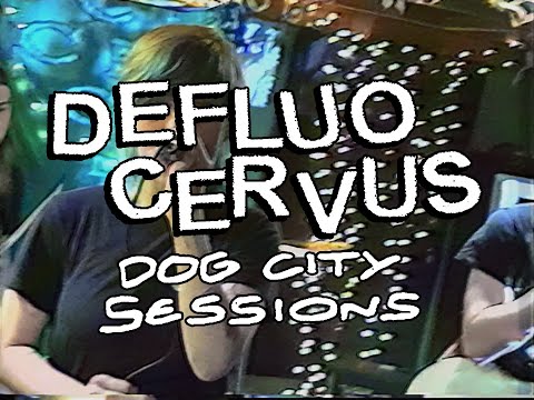 Dog City Sessions : DEFLUO CERVUS