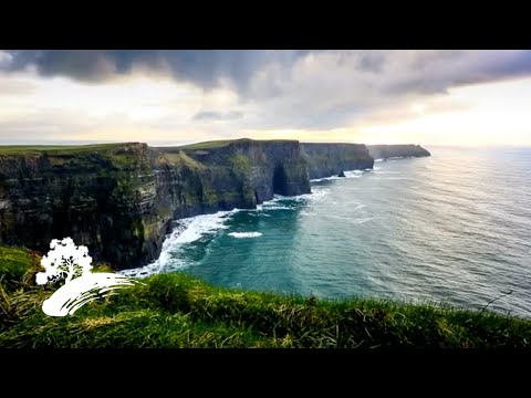 Best of Green Hill - Celtic Music [St. Patrick's Day Visualizer]