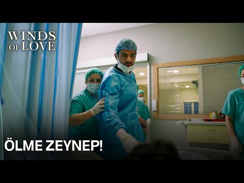 Zeynep's heart stopped | Winds of Love Episode 20 (EN SUB)
