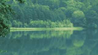 MARCO ANTONIO SOLIS ''Ya No Te Vayas''