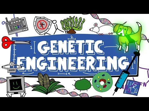 Genetic Engineering Breakthrough Junior Challenge Video Khan Academy