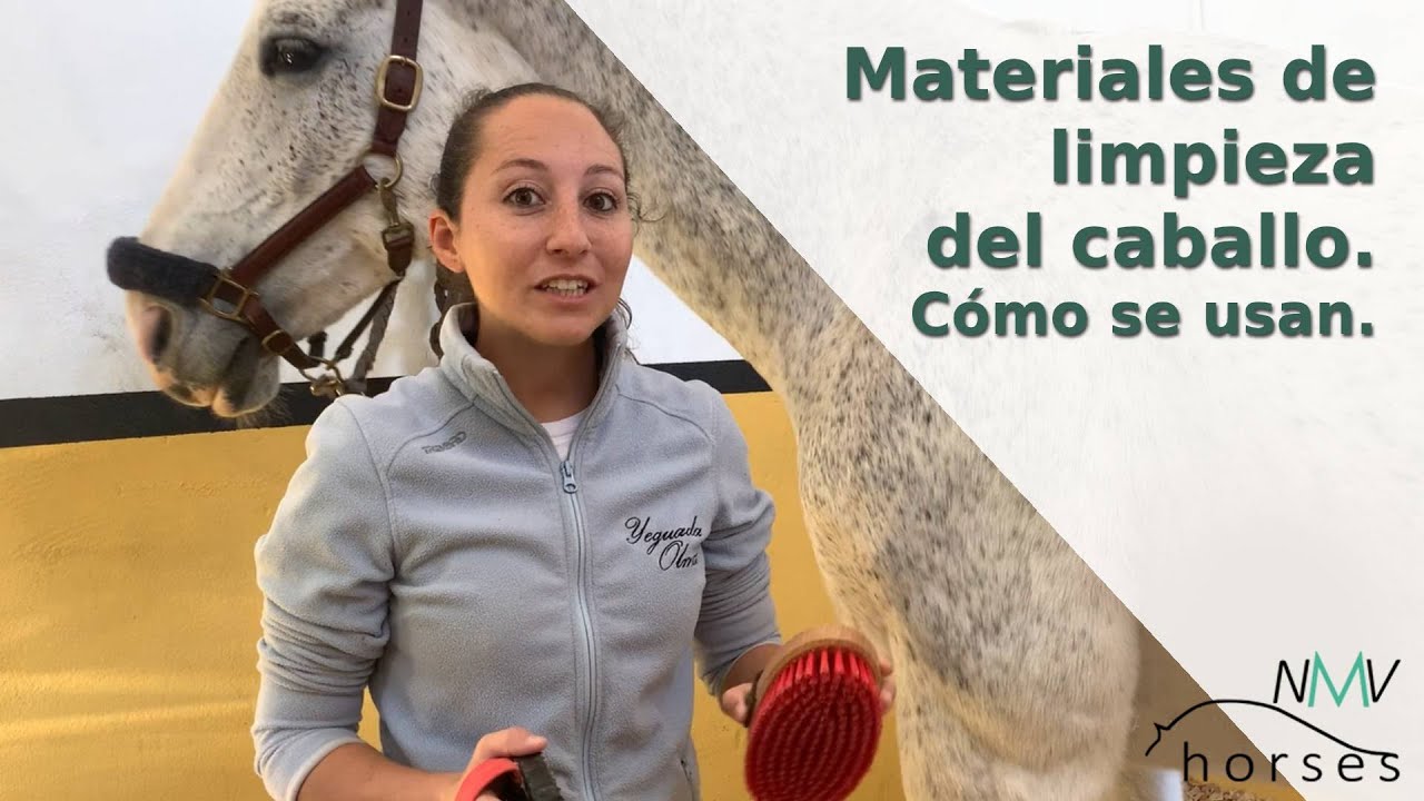 🐴Cómo cepillar a tu caballo 🐴Materiales de limpieza ¿Los usas correctamente🐴