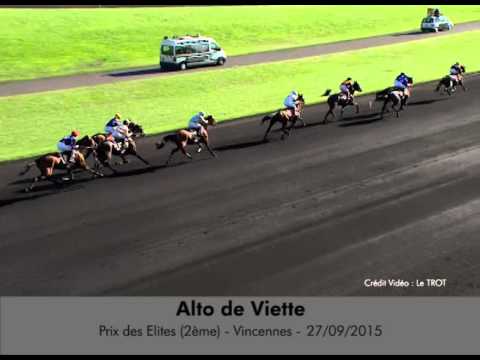 Alto de Viette - Prix des Elites - Vincennes