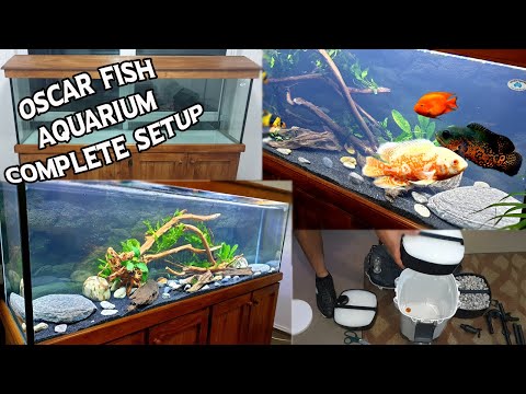 The Oscar Aquarium Setup With Plants - Complete Guide