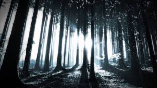 Alcest - Elevation (Subtitulos en Español)