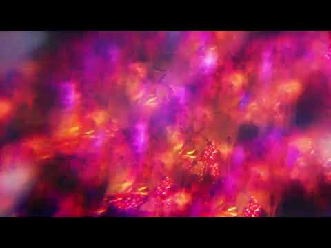 Play Video Youtube Video