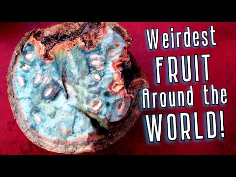 10 of The WEIRDEST Fruit From Around The World (I actually tried them), The Revenge
