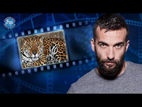 BALKAN INFO: Goran Jović – U Amazoniji se svašta konzumira i veruje se u svetog jaguara!