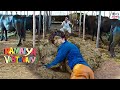 राम अपने प्यार के लिए गोबर भी उठा लेगा �