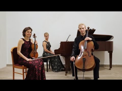 BEETHOVEN, Piano Trio No. 3 in C minor / Kinsky Trio Prague