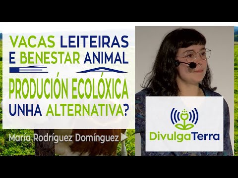 Vídeo: Vacas leiteiras e benestar animal: É a produción ecolóxica unha alternativa?