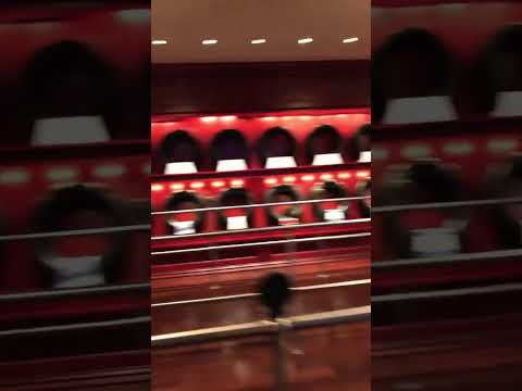 Guido And Luigi’s #pixarcars #californiaadventure #tires