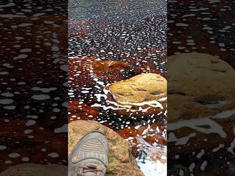 Trilha da cachoeira do Mirante_ Parque Estadual de Grão Mogol/MG #serradoespinhaço
