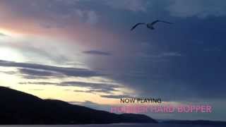 On Green Dolphin Street - Comparing 4 chromatic harmonicas